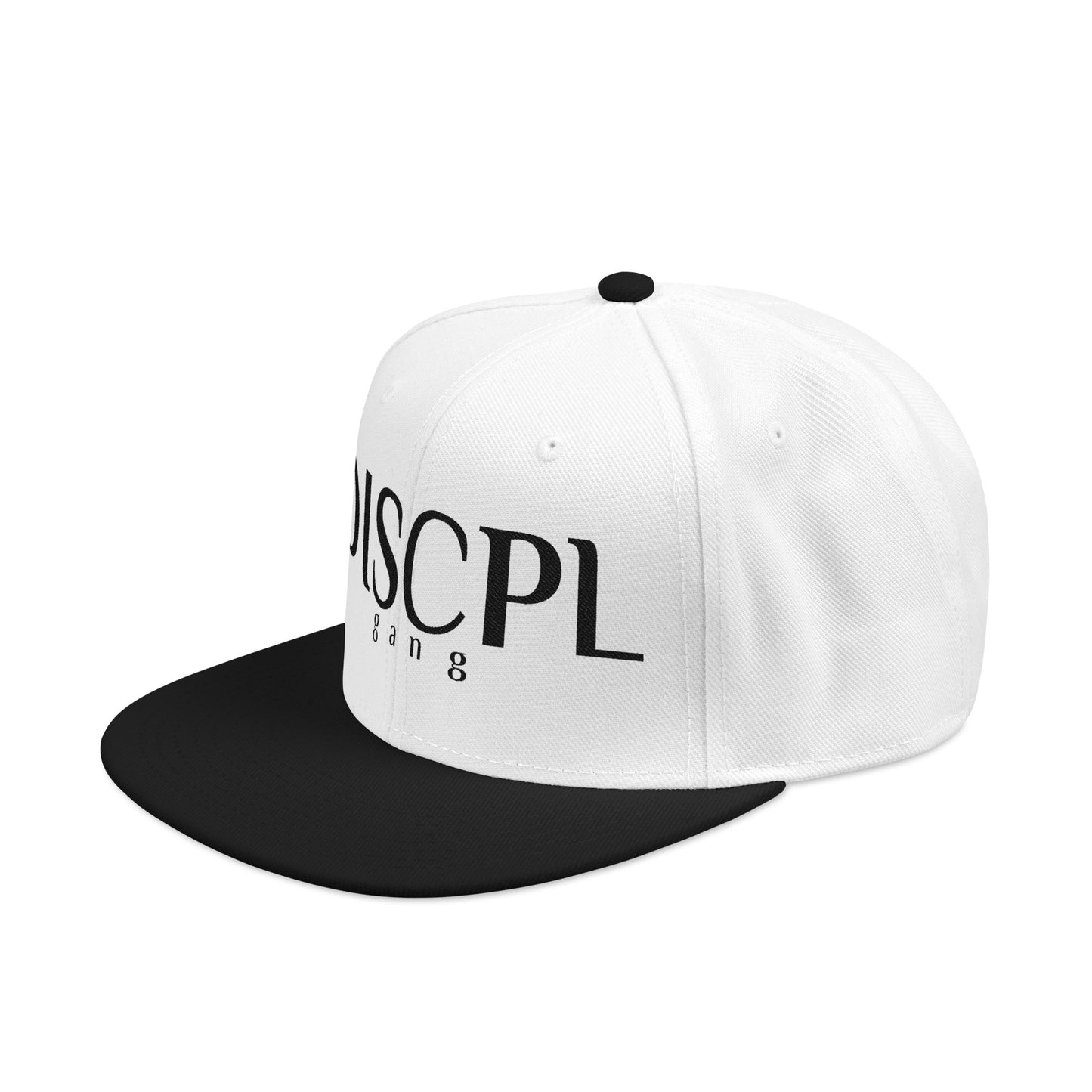 DISCPL Brand Embroidered Snapback